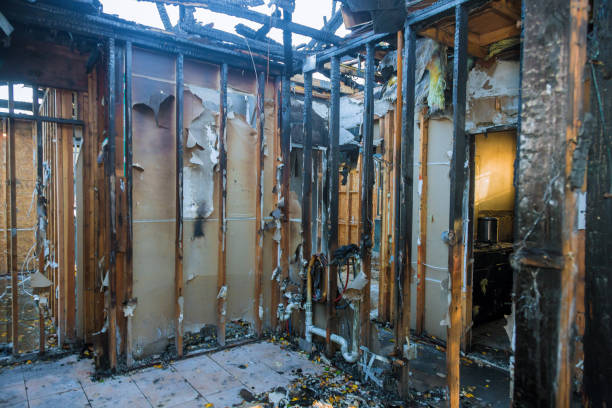 Professional Smoke Damage Removal technician working in Center Point, IA